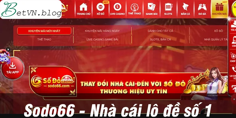 Sodo với những dịch vụ live casino cực chất lượng