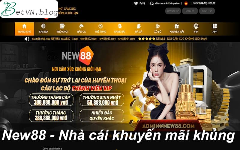 New88 - Nhà cái cá cược khuyến mãi siêu khủng